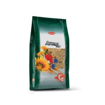 AVENA DEPILATA 1 KG