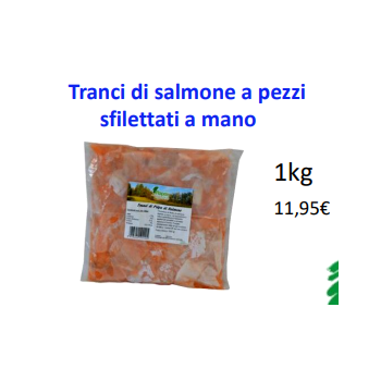 BARF TRANCI DI SALMONE A PEZZI SFILETTATI A...