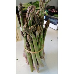 asparagi verdi 700 gr