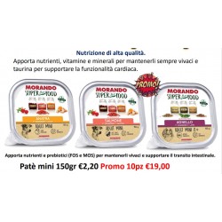 PROMO MORANDO S.F. PATè  CANE  300 GR 12PZ